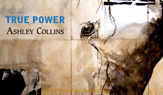 Ashley Collins True Power Catalog
